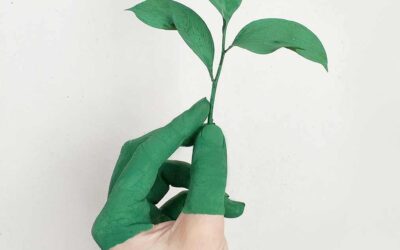 The Pros and Cons Of Renewable Energy